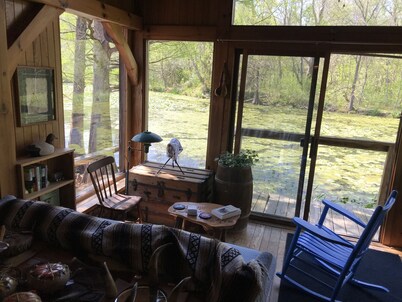 Peacocks, blacksmithing, buffalo, wildlife, a studio cabin by the pond.