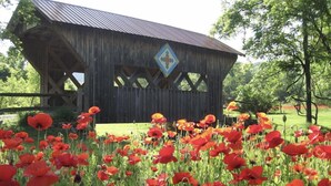 A wooden structure with a diamond-shaped sign, surrounded by a field of red poppies. - Peacocks, blacksmithing, buffalo, wildlife, a studio cabin by the pond. (Unicoi)