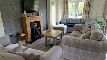 TV, fireplace