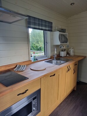 Fridge, microwave, stovetop