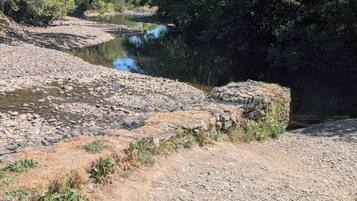 A natural landscape with a river, rocky terrain, and dense trees.