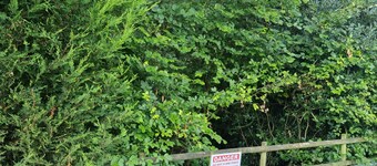 Glamping Hut - Sleeps 2, hot tub & parking