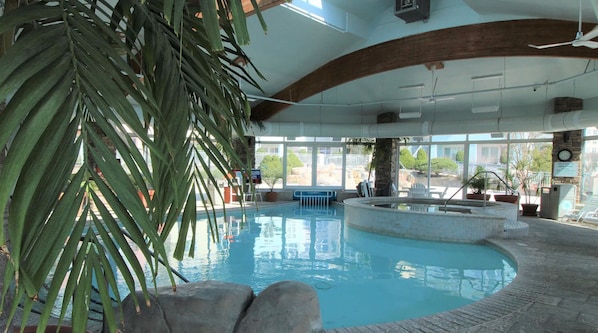 Piscina interna com vista para o exterior, cercada por plantas em vasos e piso de pedra.