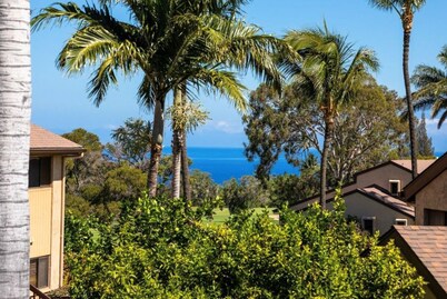 Newly Renovated Lanai!  Gorgeous Fully Stocked 2 Bd/2Ba on Golf Course!