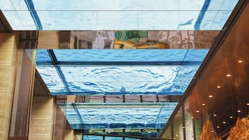 A modern interior with a glass ceiling reflecting a person swimming, large windows, and indoor plants.