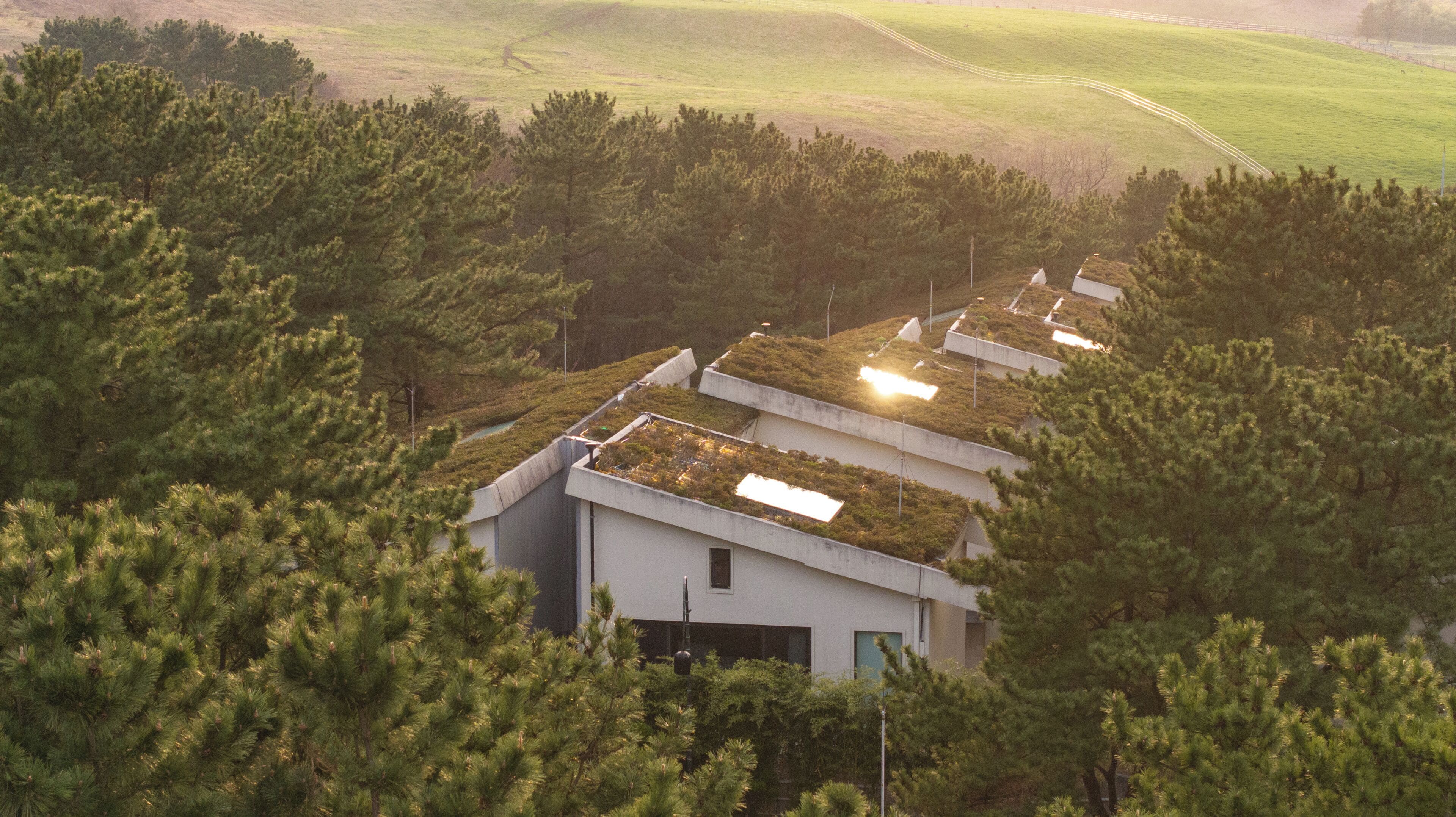 Foto - Amber Pure Hill Hotels & Resorts Jeju