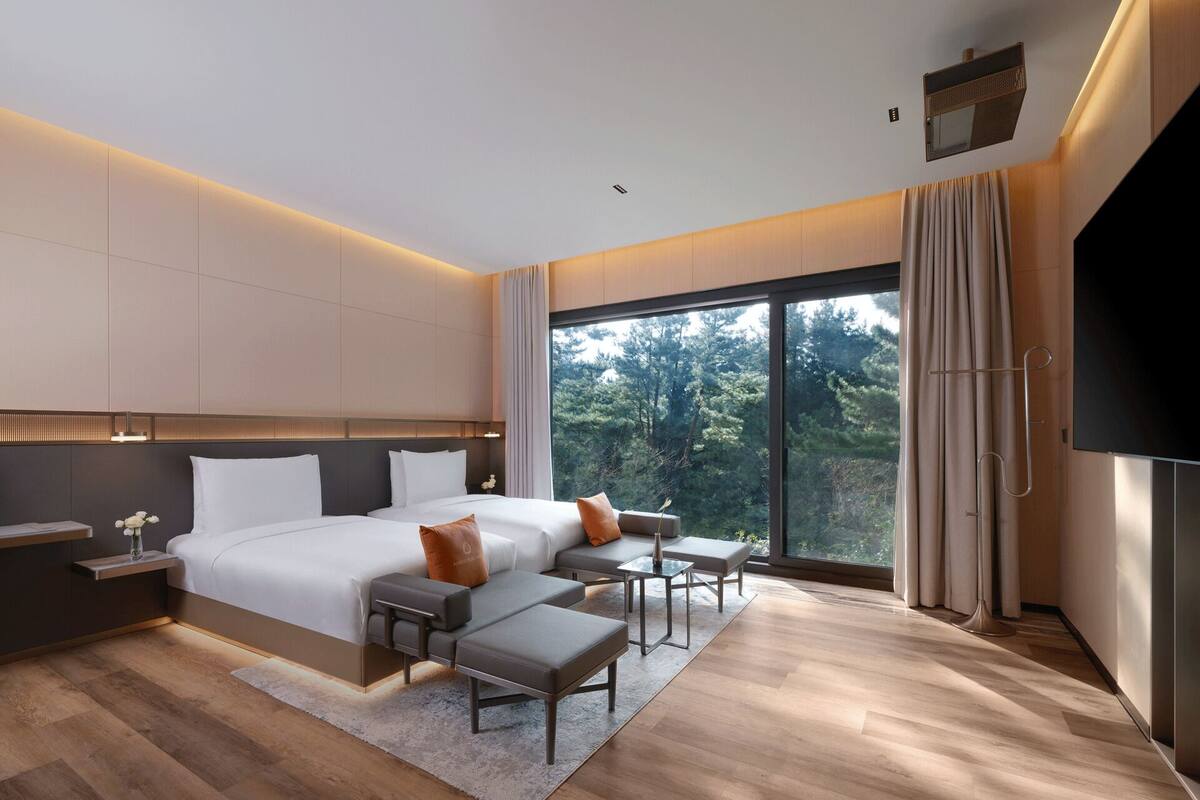 A modern hotel room with a large bed, a TV, a desk, and a view of the forest.