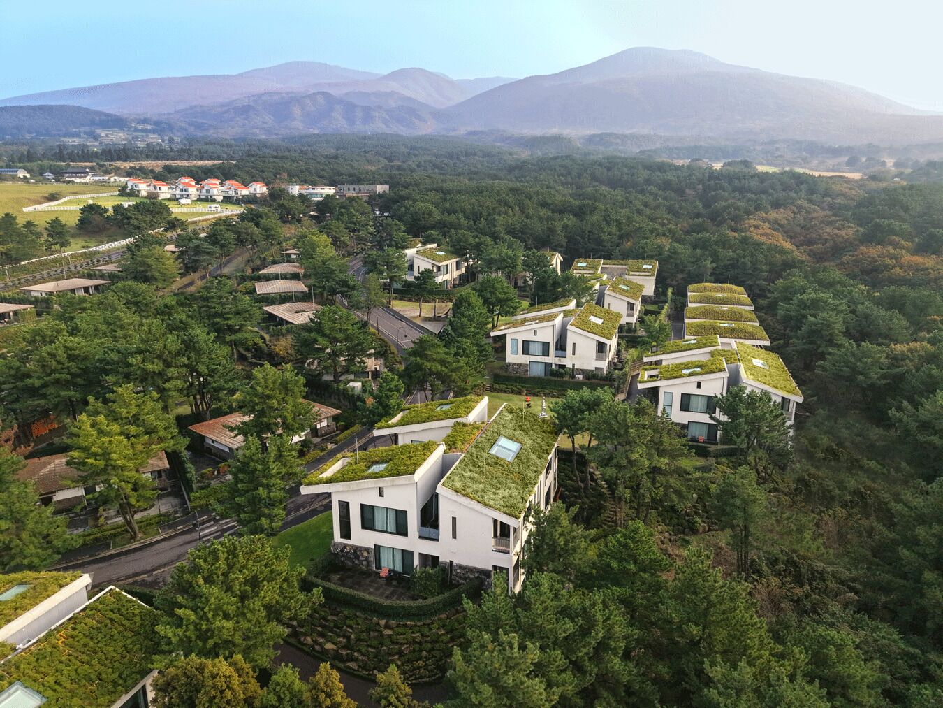 Zona residencial con casas modernas que tienen techos verdes, rodeada de un bosque denso y montañas al fondo.