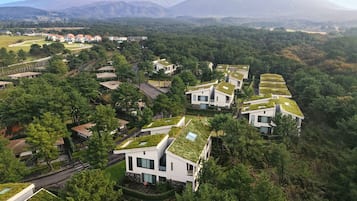 Zona residencial con casas modernas que tienen techos verdes, rodeada de un bosque denso y montañas al fondo.