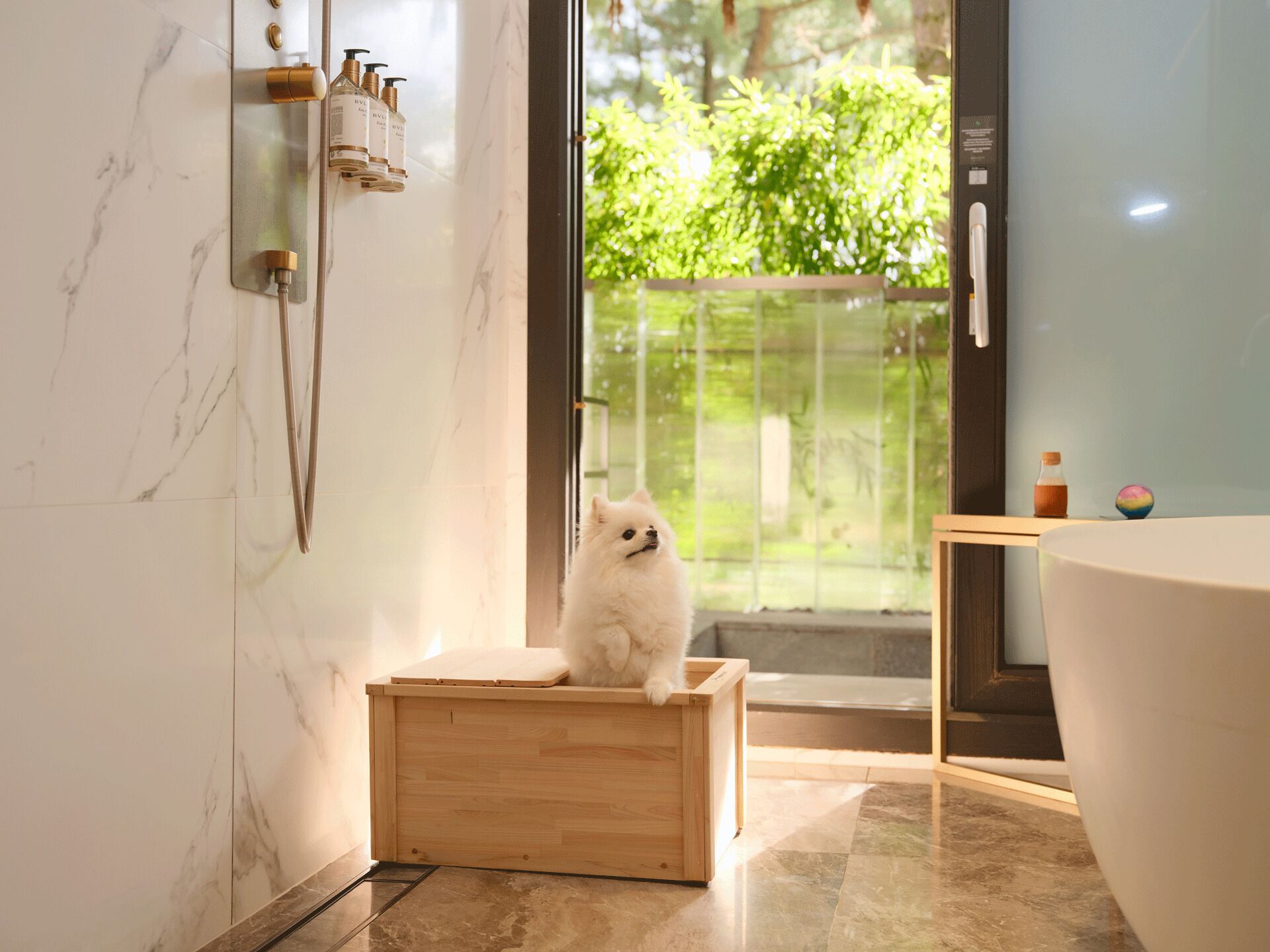 A white fluffy dog sitting on a wooden box in a bathroom with a large bathtub, a shower, and a glass door leading to a balcony with greenery.