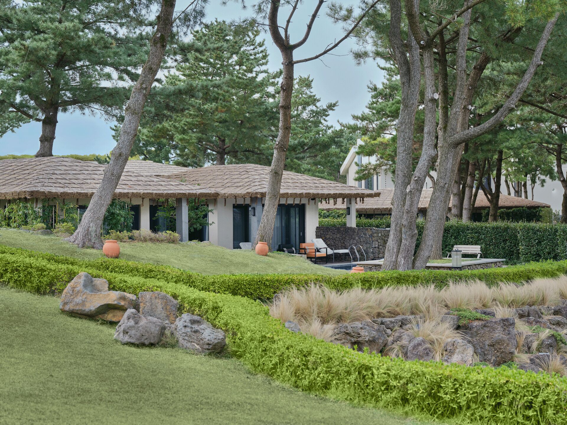 Foto - Amber Pure Hill Hotels & Resorts Jeju