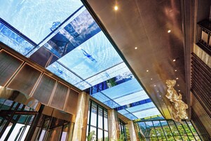 Outdoor pool, open 9:00 AM to 8:00 PM, sun loungers