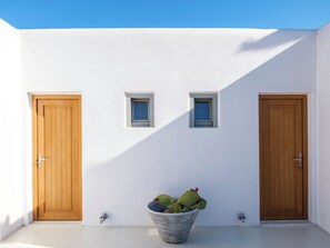 A building with two wooden doors and two small windows, a potted cactus plant in the center, and a concrete floor.