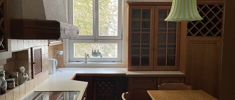 Fridge, oven, stovetop, cookware/dishes/utensils