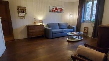TV connectée, cheminée, livres