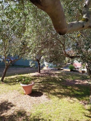 Apartment (Bungalow) | Garten