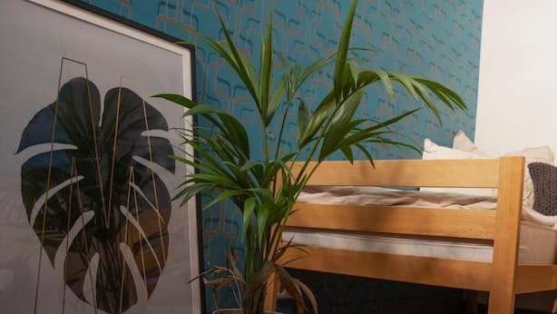 A room with a bed, a potted plant, and a framed artwork on the wall. - LaOla Living - Hostel (Essen)