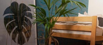 LaOla Living - Hostel