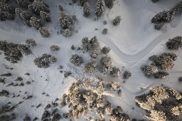 An aerial view of a snowy landscape with trees and tracks.