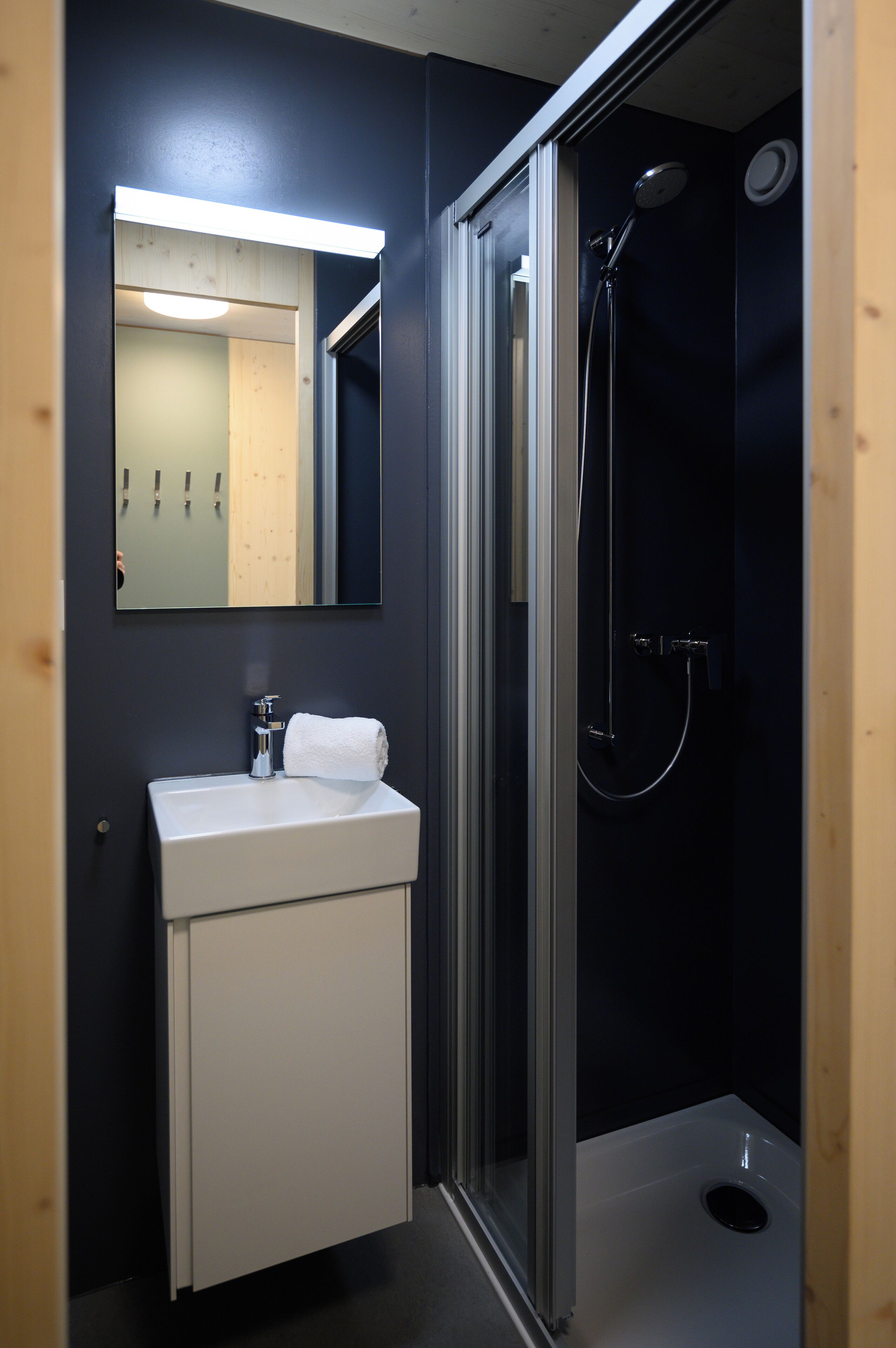 Een badkamer met een wit wastafel, een spiegel en een douche met glazen wanden.