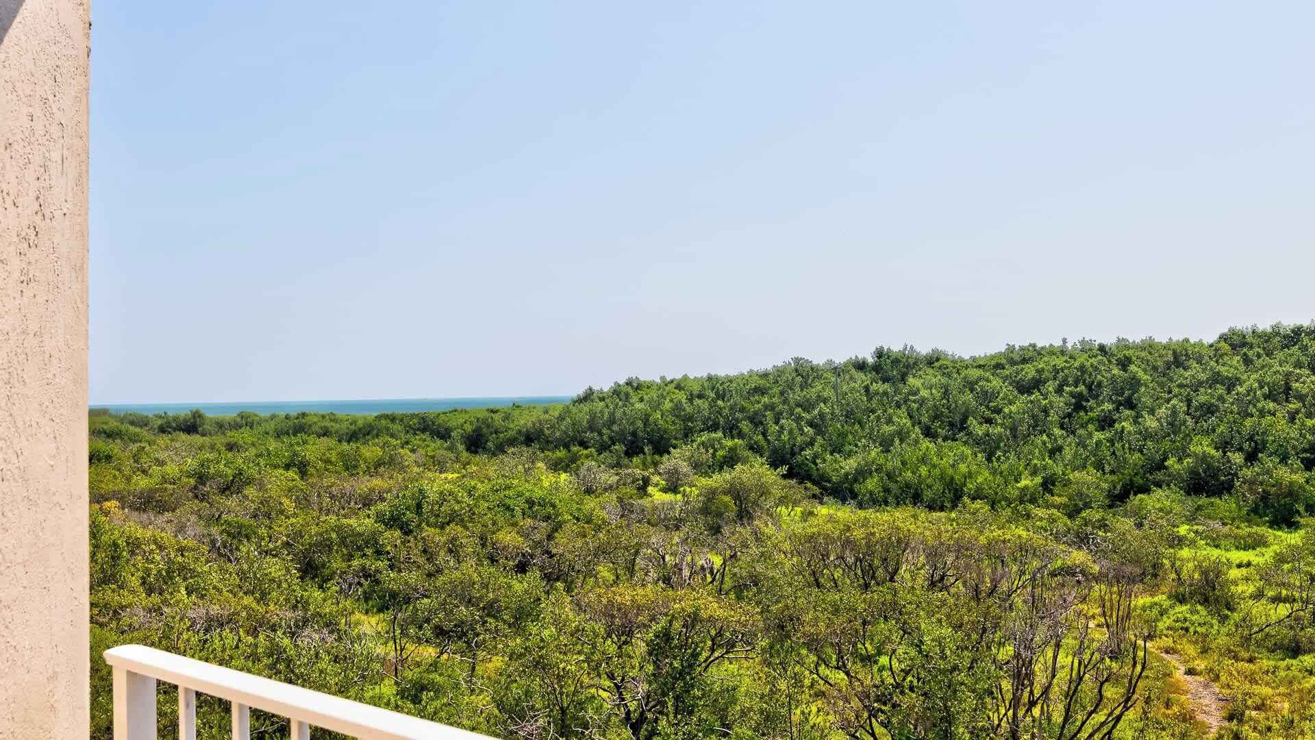 Un balcon offrant une vue sur une forêt verdoyante et luxuriante et sur un ciel dégagé.