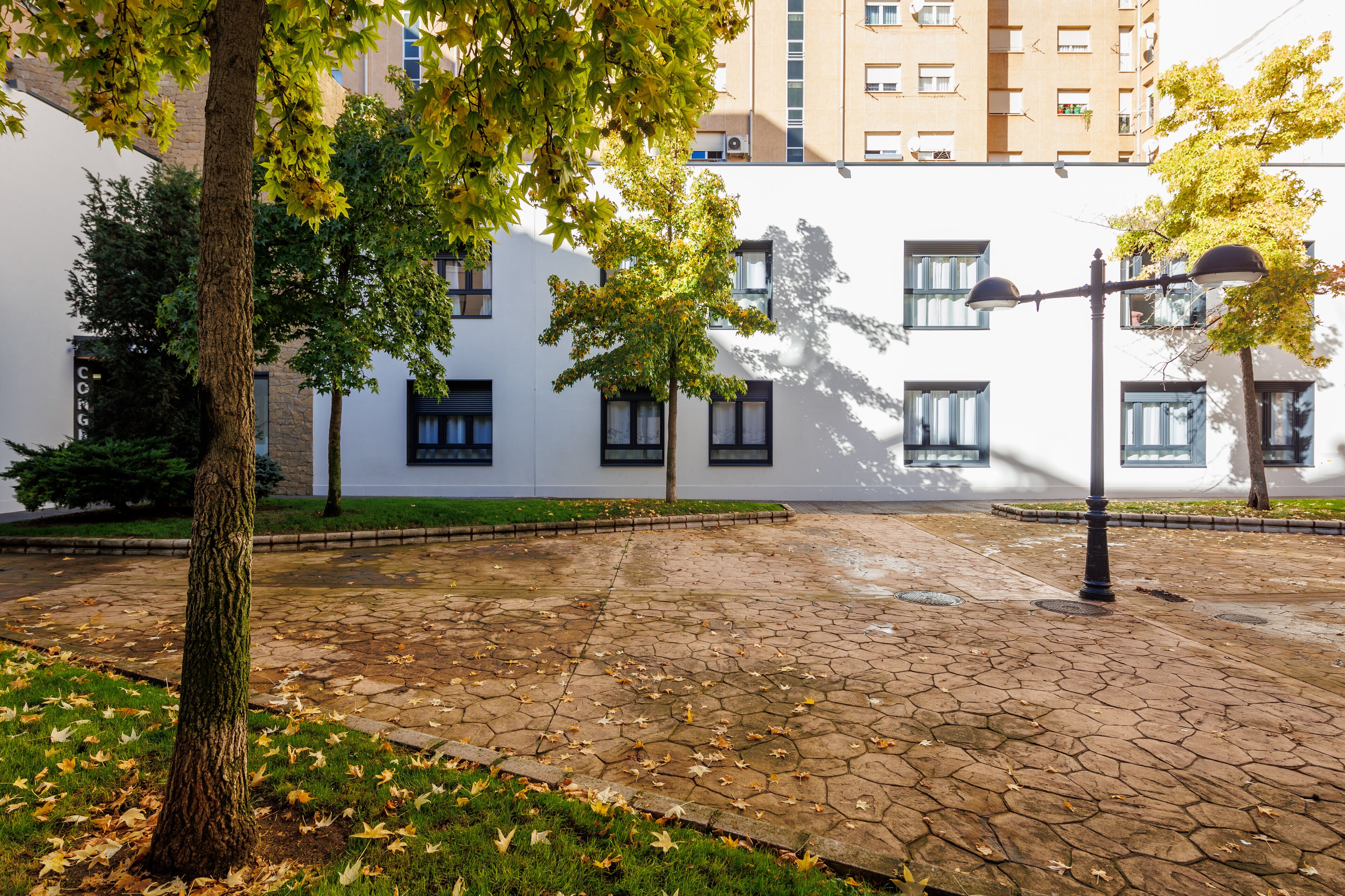 A courtyard with a paved walkway, trees, and a building with multiple windows.