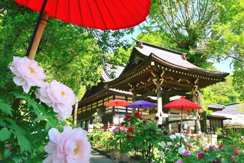 Rental villa with sunken hearth