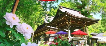 Rental villa with sunken hearth