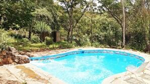 Une piscine bordée de pierres, entourée de verdure et d’arbres.