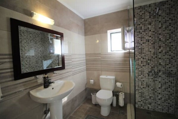 Un baño con un espejo grande, un lavabo, un inodoro y una zona de ducha.