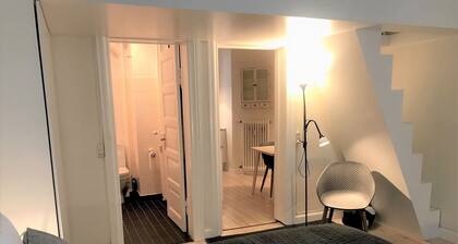 Small Cozy Apartment in Frederiksberg