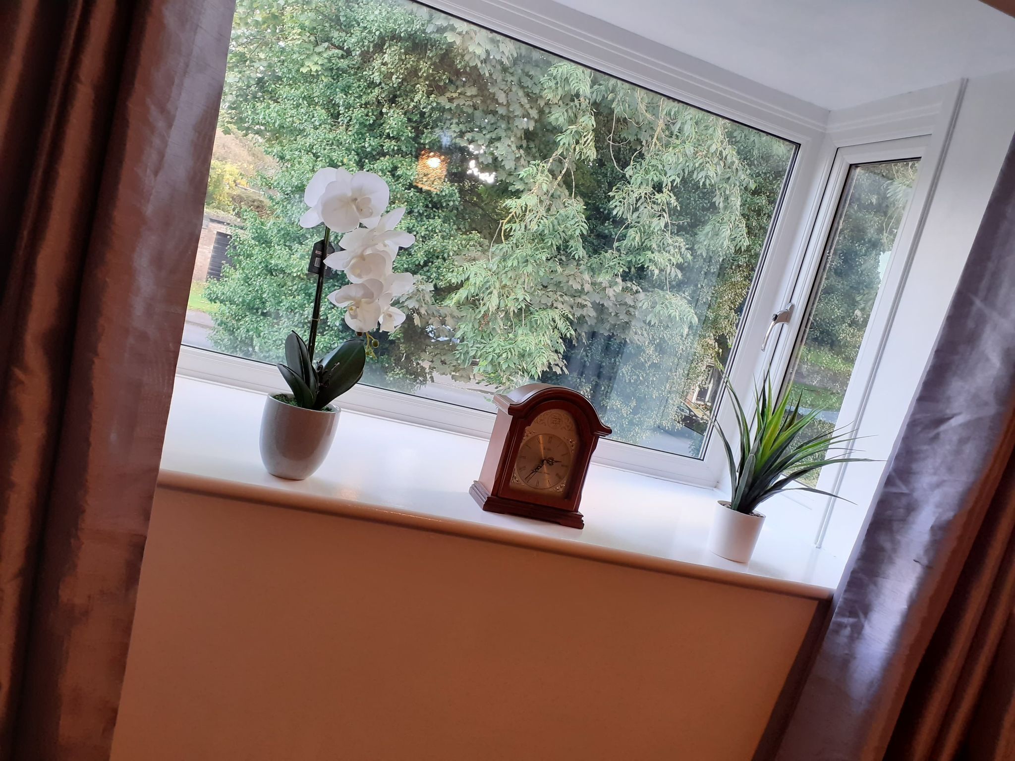 A window with a view of trees, a clock, and two potted plants.