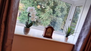 A window with a view of trees, a clock, and two potted plants.