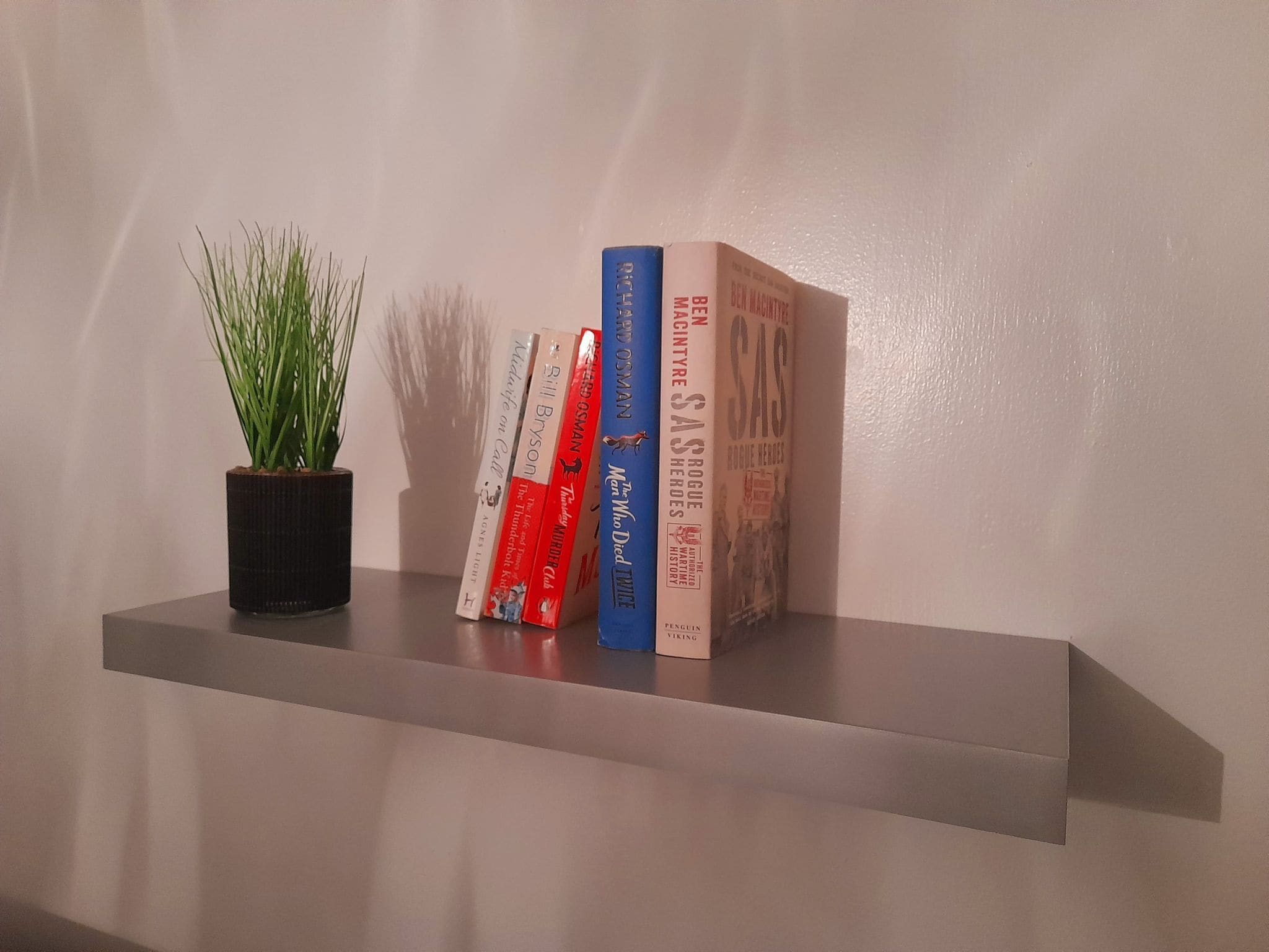 A bookshelf with books and a potted plant.