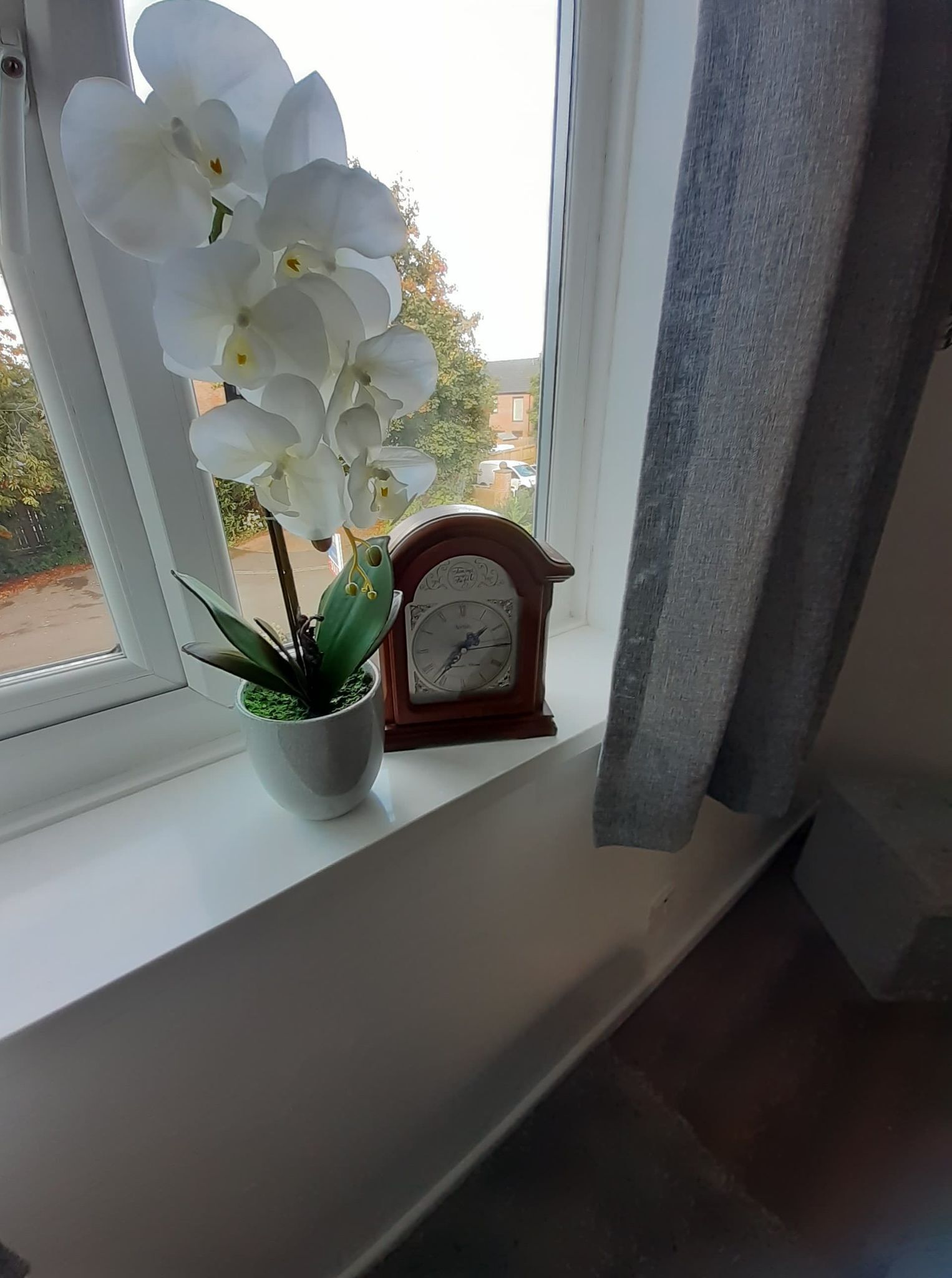 A window sill with a potted plant, a clock, and a view of the outside.