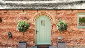 A brick building with a green door, two potted plants, and a small window on the right.