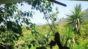 Balcony - Country House in the Su Gologone Area 30 km From Cala Gonone 5 km From Oliena (Oliena)