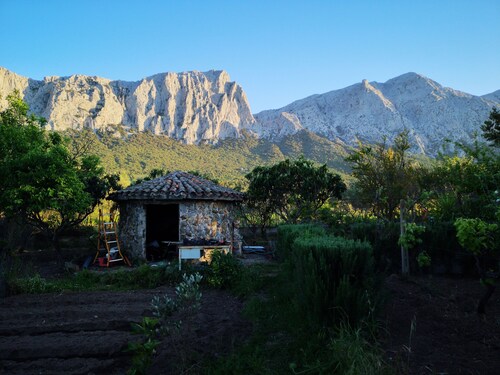 Country House in the Su Gologone Area 30 km From Cala Gonone 5 km From Oliena