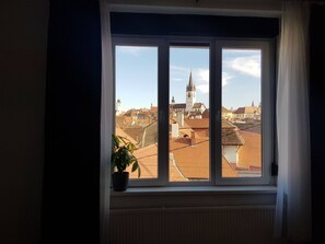 View from property - Tanners Tower Studio With A View (Sibiu)