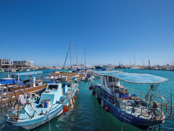 Appartement, 1 chambre, balcon, vue sur la piscine | Marina