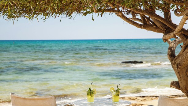 A beach scene with a round table and two chairs under a tree, overlooking the ocean.