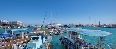 Apartamento, 2 quartos, sacada, vista para a piscina | Marina
