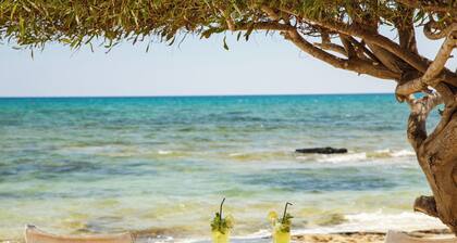 Sanders River Plaza - Neat 2 Bedroom Apt With Balcony