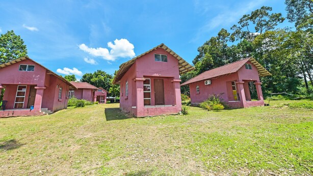 A row of pink houses with red roofs, surrounded by green grass and trees under a clear blue sky. - Oyo 90640 D'village River & Cafe Chalet (Kuala Tembeling)