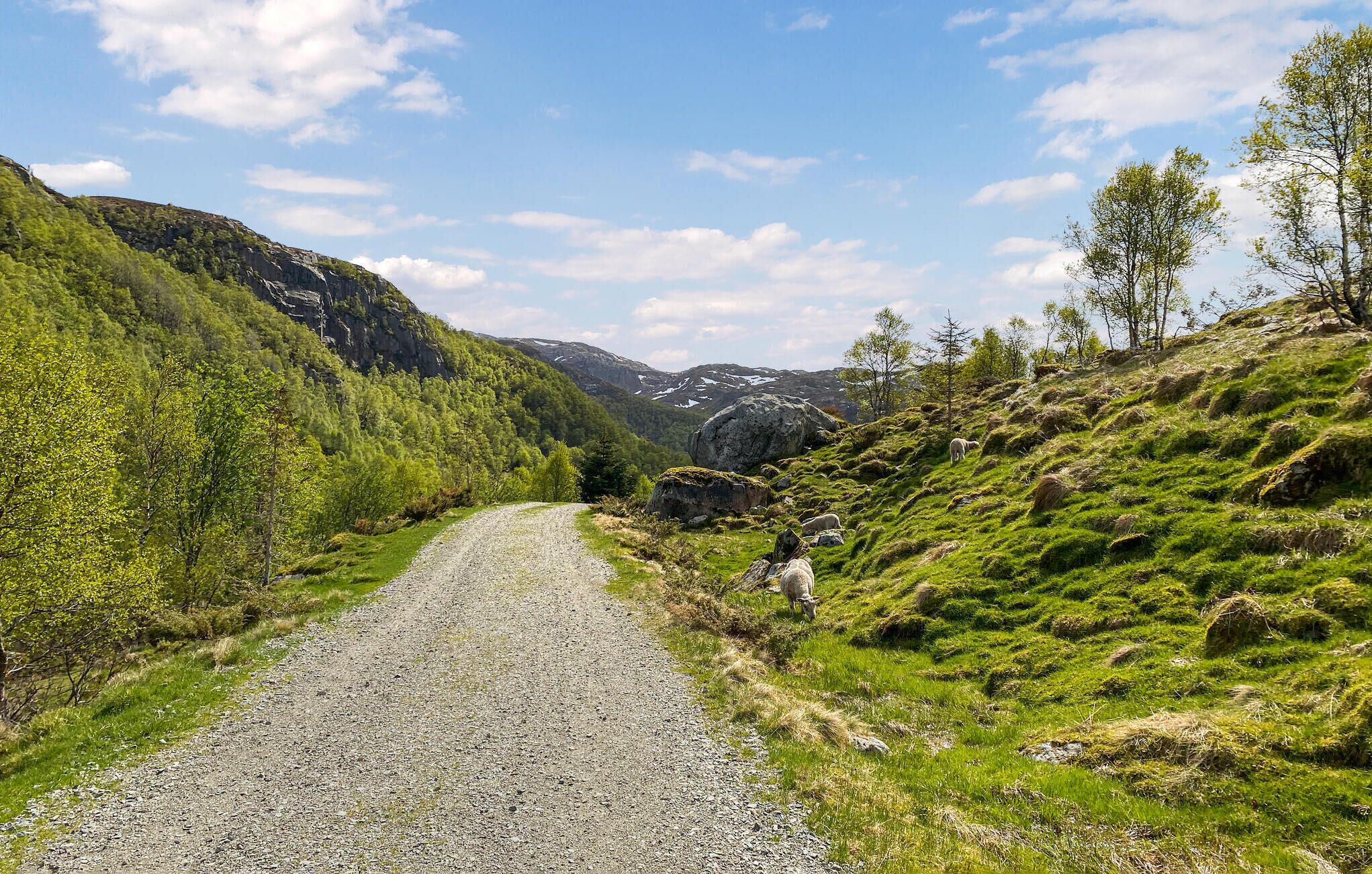En grusvej slynger sig gennem et bjergrigt område med grøn vegetation og klippeudspring.