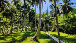 A pathway through a lush, green area with tall palm trees. - The Aroma Resort (Port Blair)