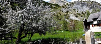 Il Nido di Elda (few steps from skiing)