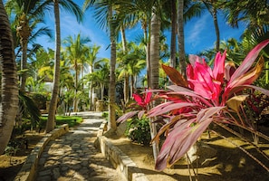 A stone pathway leading through a tropical garden with palm trees and a large pink plant.