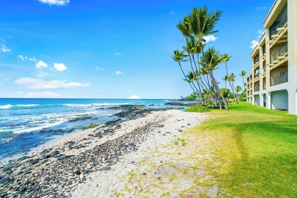 A beachfront hotel with a rocky shoreline, palm trees, and ocean views.