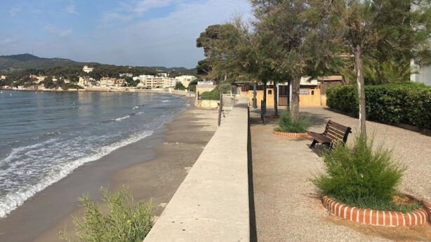 Ein Küstenweg mit einer Bank, Bäumen und Blick auf das Meer und Gebäude im Hintergrund.